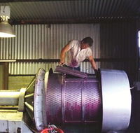 Orange Mountain Wines - Accommodation Tasmania