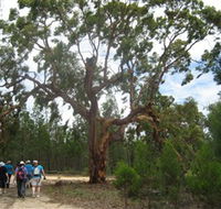 Koorilgur Nature Reserve - Accommodation Tasmania