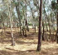 Chiltern-Mt Pilot National Park - Accommodation Tasmania