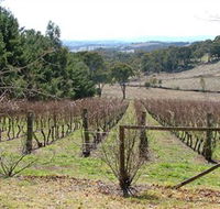 Habitat Vineyard - Accommodation Tasmania