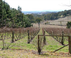 Habitat Vineyard - Accommodation Tasmania 0