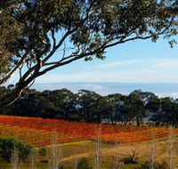 Bloodwood Estate - Accommodation Tasmania