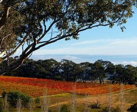 Bloodwood Estate - Accommodation Tasmania 0
