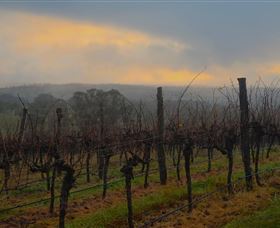 Bloodwood Estate - Accommodation Tasmania 1