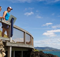 Mount Canobolas State Conservation Area - Accommodation Tasmania
