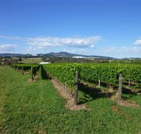 Hedberg Hill Wines - Accommodation Tasmania