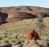 Camel Trail Millstream-Chichester National Park - Accommodation Tasmania