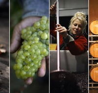 Ross Hill Wines - Accommodation Tasmania