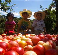 Bonny Glen Fruits - Accommodation Tasmania
