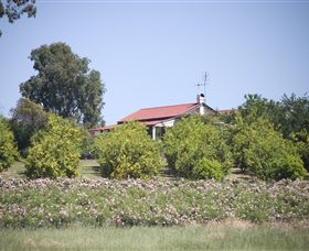 Samaria Farm - Accommodation Tasmania 0
