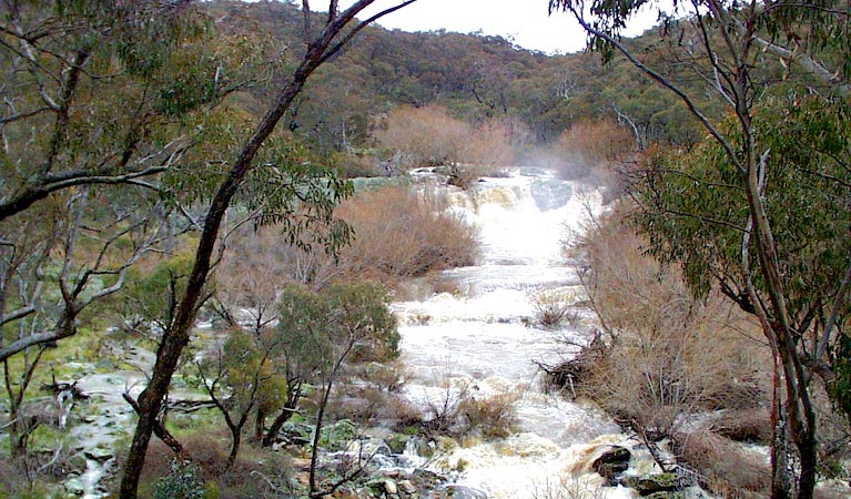 Ophir NSW Accommodation Tasmania