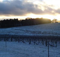 Charles Sturt University Winery - Accommodation Tasmania