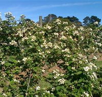 Huntley Berry Farm - Accommodation Tasmania