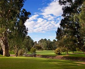 Commercial Golf Course - Accommodation Tasmania 0