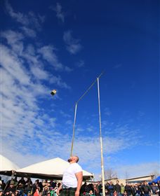 Amulet Vineyard And Beechworth Cider - Accommodation Tasmania 6