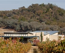 Amulet Vineyard And Beechworth Cider - Accommodation Tasmania 8