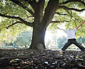 Albury Botanic Gardens - Accommodation Tasmania 1