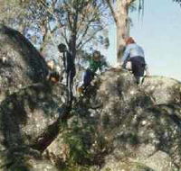 Mount Samaria State Park - Accommodation Tasmania