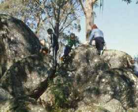 Mount Samaria State Park - Accommodation Tasmania 0