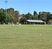 Coddington Park and Roberts Park - Accommodation Tasmania