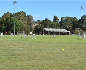 Coddington Park And Roberts Park - Accommodation Tasmania 0