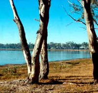 Lake Broadwater Conservation Park - Accommodation Tasmania