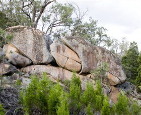 Frog Rock - Accommodation Tasmania 1