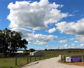 Short Sheep Micro-Winery - Accommodation Tasmania 8
