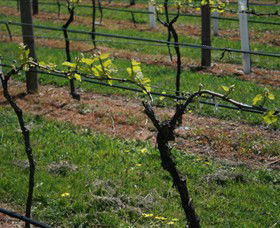 Beechworth Wine Estates - Accommodation Tasmania 2