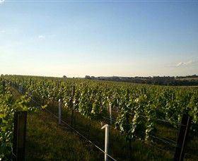 Beechworth Wine Estates - Accommodation Tasmania 5
