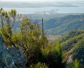 Mount Larcom Climb - Accommodation Tasmania 1
