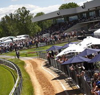 Thoroughbred Park Canberra Racing Club - Horse Racing in the Nations Capital - Accommodation Tasmania