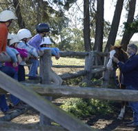 Harlow Park Horse Riding - Accommodation Tasmania