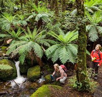 Baw Baw National Park - Accommodation Tasmania