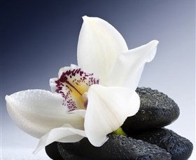 H2O Spa - Accommodation Tasmania 1