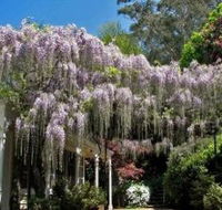 Nooroo Gardens - Accommodation Tasmania