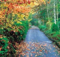 Mount Wilson and Mount Irvine - Accommodation Tasmania