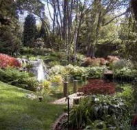 Windyridge Garden Mount Wilson - Accommodation Tasmania