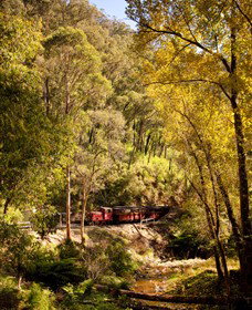 Walhalla Goldfields Railway - Accommodation Tasmania 3
