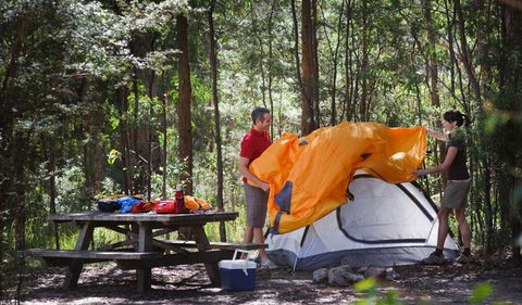 Bald Rock National Park - Accommodation Tasmania 1
