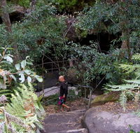 Leura Cascades Fern Bower - Accommodation Tasmania