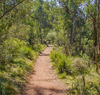 Mares Forest Creek walking track - Accommodation Tasmania