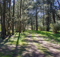 Wombeyan Waterfall walking track - Accommodation Tasmania