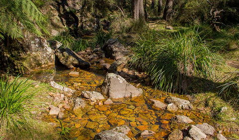 Wombeyan Waterfall Walking Track - Accommodation Tasmania 1