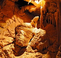 Fig Tree Cave - Accommodation Tasmania