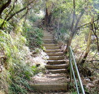 Nature track - Accommodation Tasmania