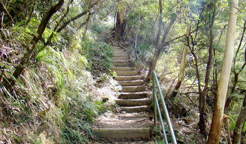 Nature Track - Accommodation Tasmania 0