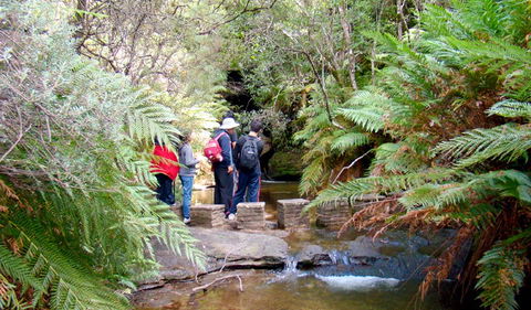Nature Track - Accommodation Tasmania 1