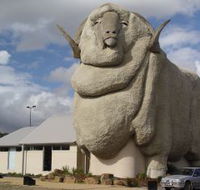 Big Merino - Accommodation Tasmania