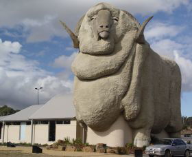 Big Merino - Accommodation Tasmania 0